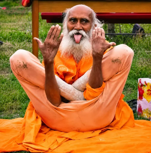 Guru Swami Yogananda Ji image 4