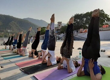 hatha Yoga Teacher Training in Rishikesh India