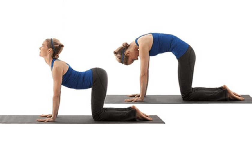 Gomukhasana {Cow Pose}-Steps And Benefits - Sarvyoga | Yoga