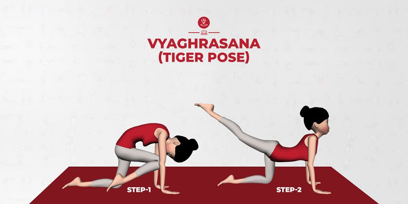 Vyaghrasana (tiger pose) 8 – Learn Self Healing Techniques Online