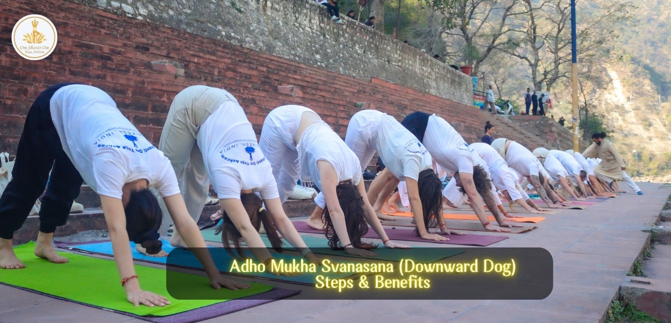Adho Mukha Asana